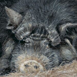 Dirty pig… Fine art print from original artwork